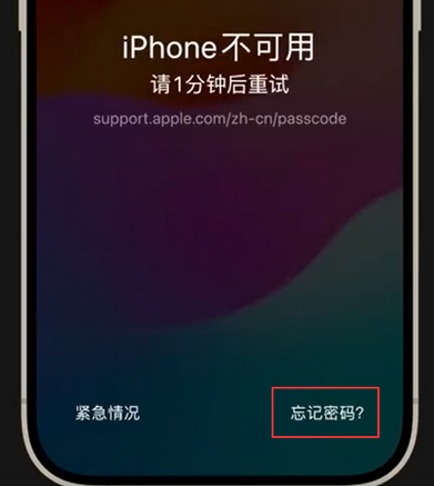 丰都苹果手机密码维修分享iPhone忘记了刚设置的密码 