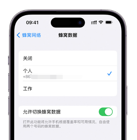 丰都苹果维修服务分享如何在iPhone上使用双卡 